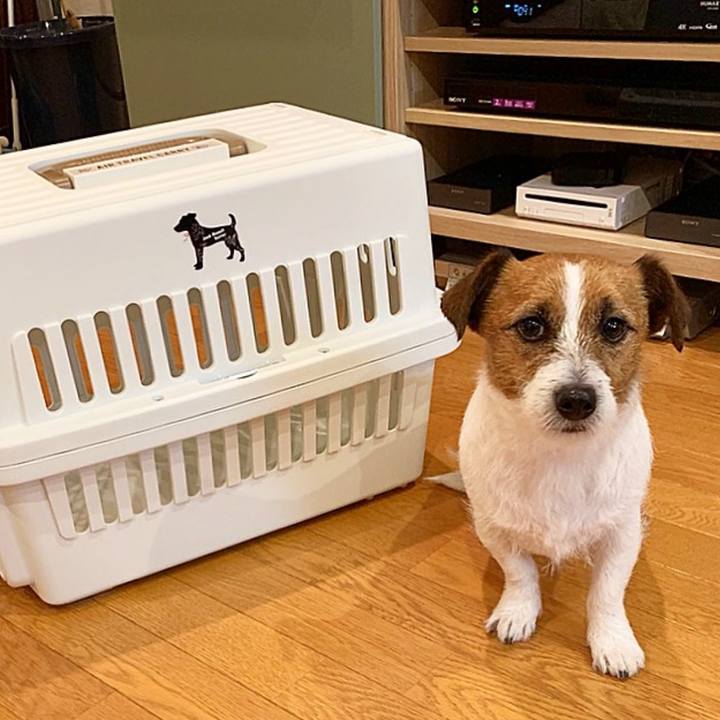 9ef08840 1855 4e15 9c64 636f8d1685fa 1546257778052