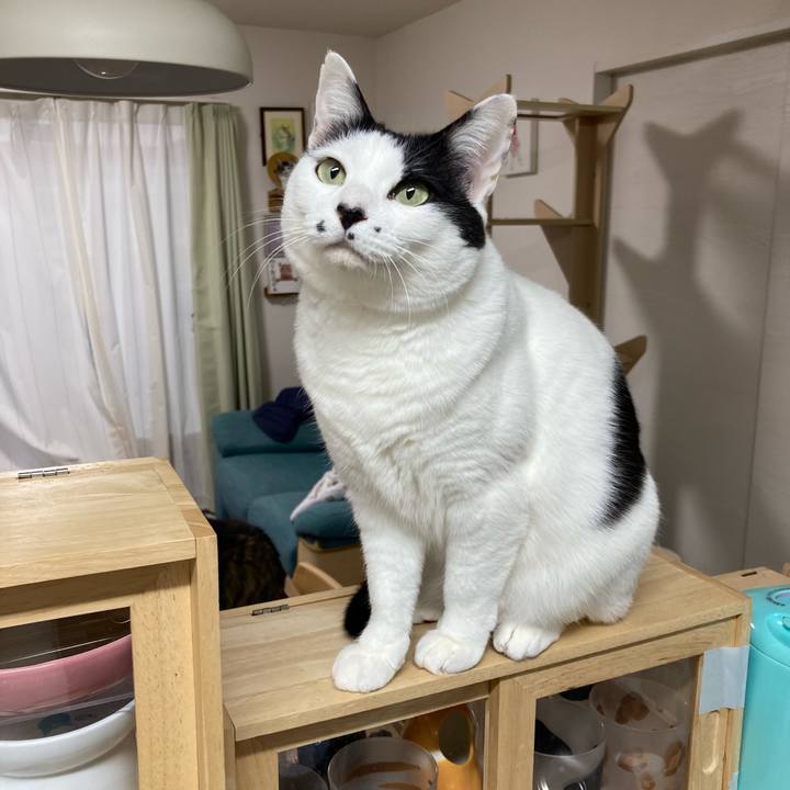 9ef09a56 2fe5 4e36 9389 0dfdc3e09b0c 1774127421880