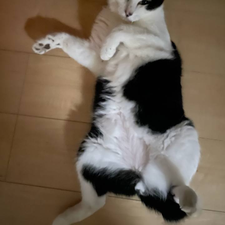 9ef0a2f0 1db5 454a a21e 3a3a6f4b1c87 1724916590853