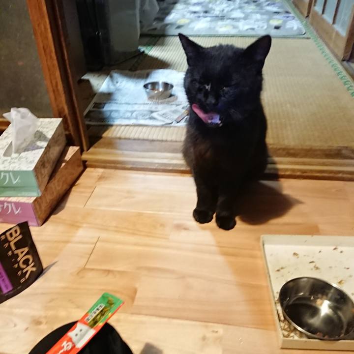 9ef0a61a a826 4b3f 9111 568de0e59b7b 1623864647357