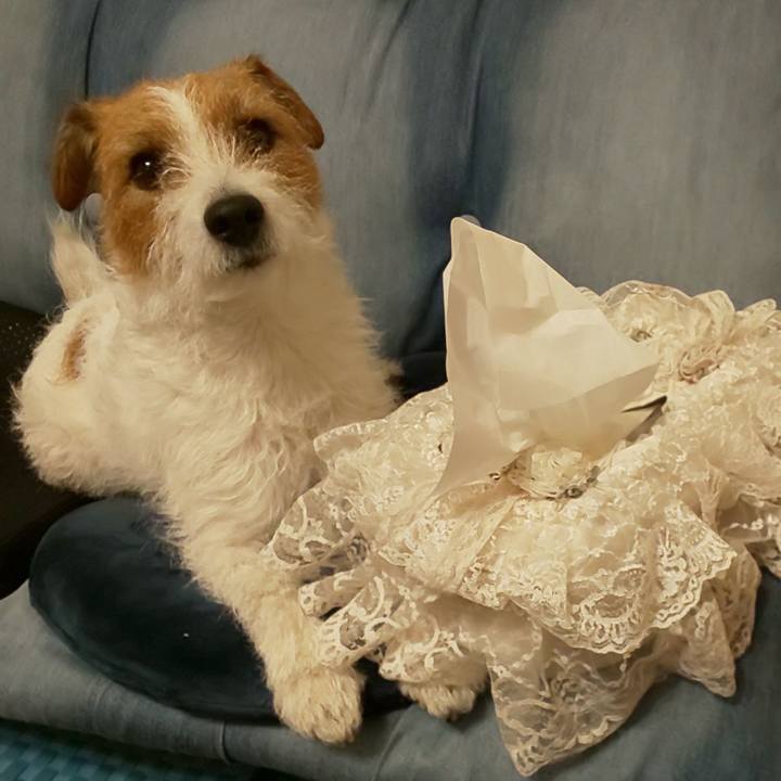 9ef0b210 e9c2 4e9b 8022 325e9071b88e 1614329741117