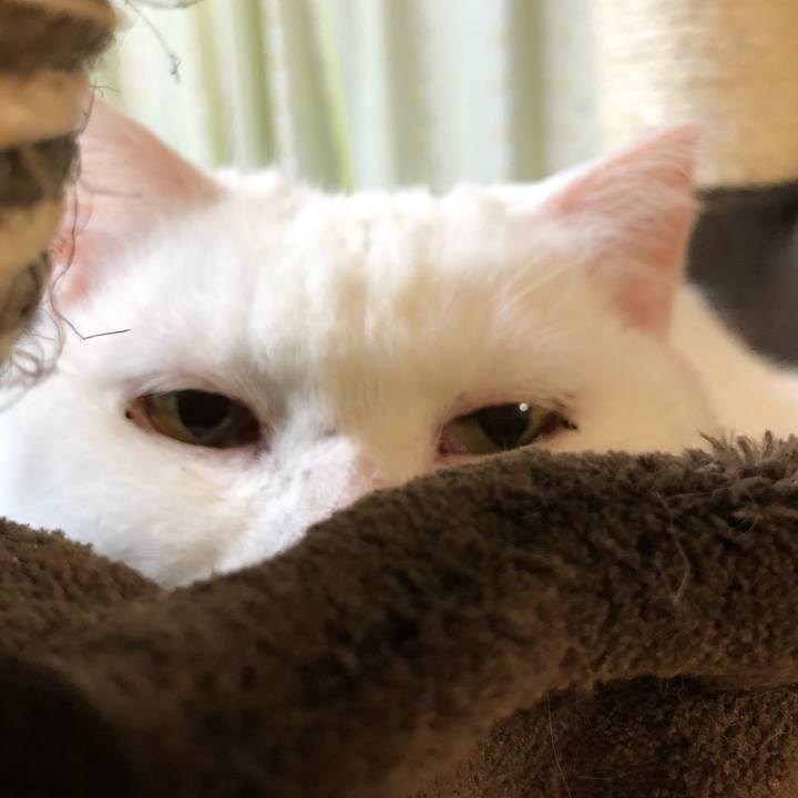 9ef10ae7 28e4 468d bc73 4b4e9e8f05fb 1527938341620