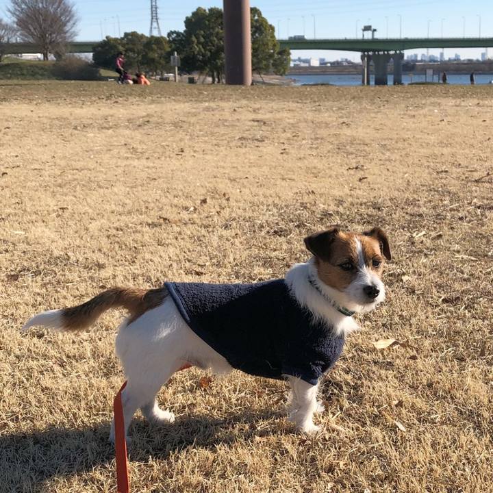 9ef10c45 db22 4eaa 9ed3 c162fb42c431 1515940790018