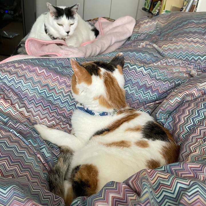 9ef12984 a51c 4933 9672 ee51b0dd68d0 1698457471061