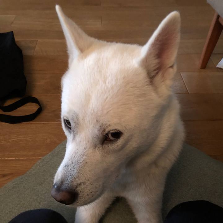 9ef1382f 65db 4a1e 99da 5279812417ea 1579692359157