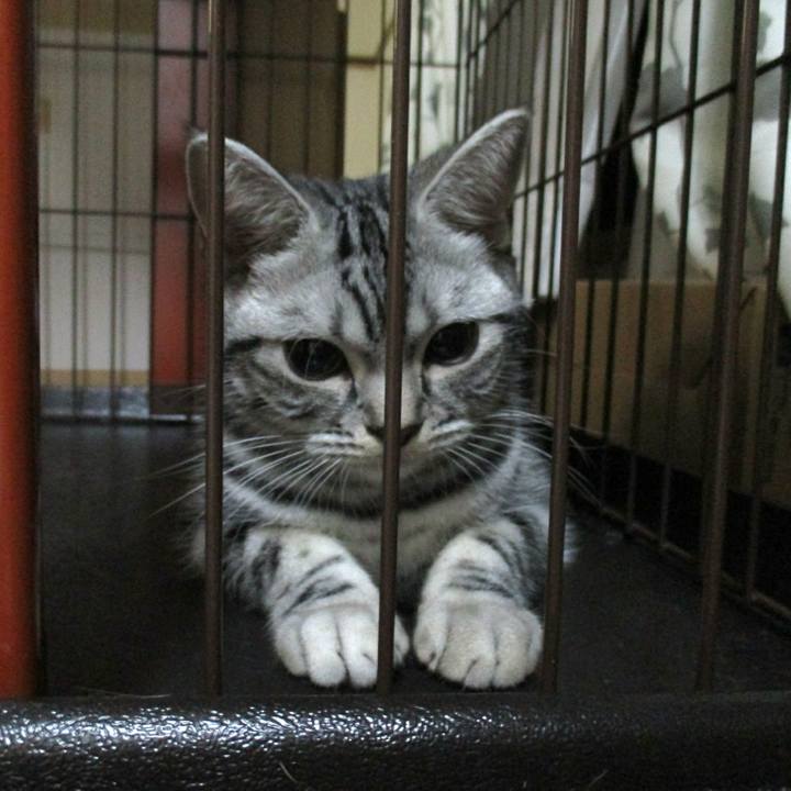 9ef16005 3cd3 4fe7 a514 70793f495a45 1544190960708