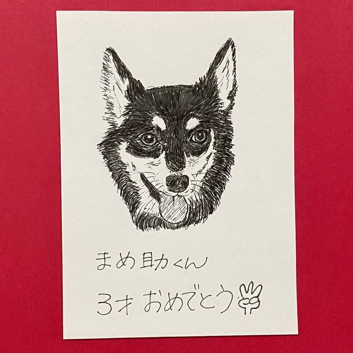 9ef1663e 9af1 4b27 9952 f12819259c58 1627439152722