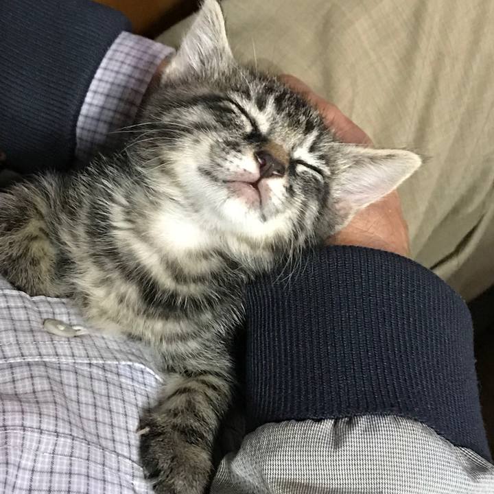 9ef17428 aa61 47d5 a470 0030db160fa9 1571551023970