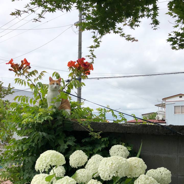 9ef1abd8 821f 43b6 98fe 2a4cc1e20dcf 1562724955416