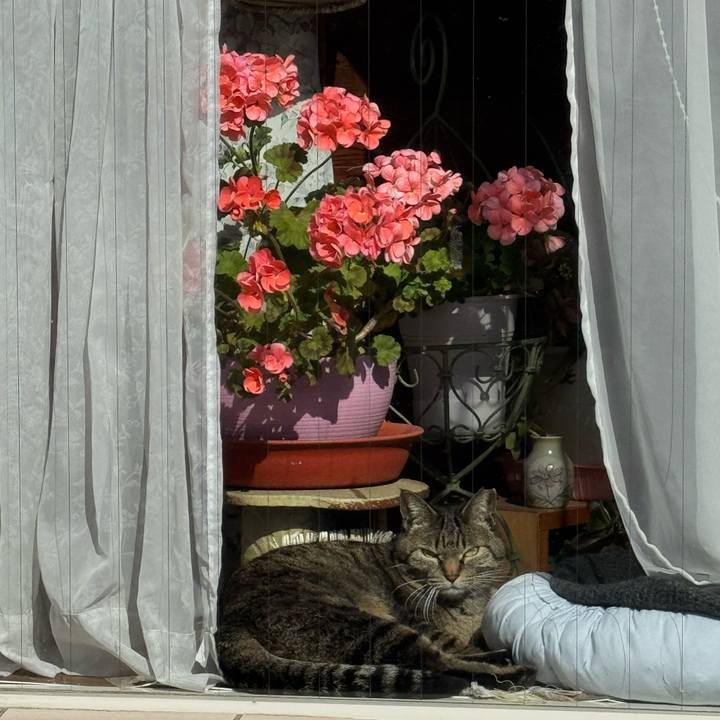 9ef1c0ce cce9 4fcd 8f72 1b1c0c590c94 1772678282825