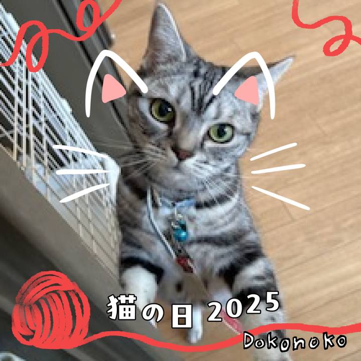 9ef1c6d6 07ff 44c7 94a7 d3bf9a2258c1 1740225788783