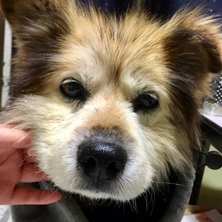 9ef1c720 750b 45cb a56d 45ebae99b679 1582761679020