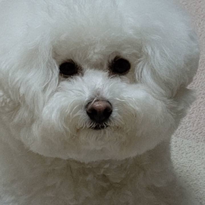 9ef1c7ce 7c7d 4f25 a62d 9ff26c60c6c0 1591015560212