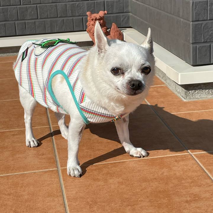 9ef1cb40 a81e 404b 8664 f2bca4882db4 1686710537007