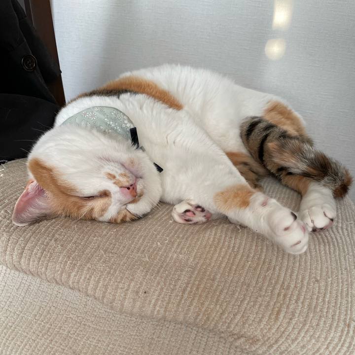 9ef1fd64 adb1 480a 9afb 2657a08adfe1 1682239322586