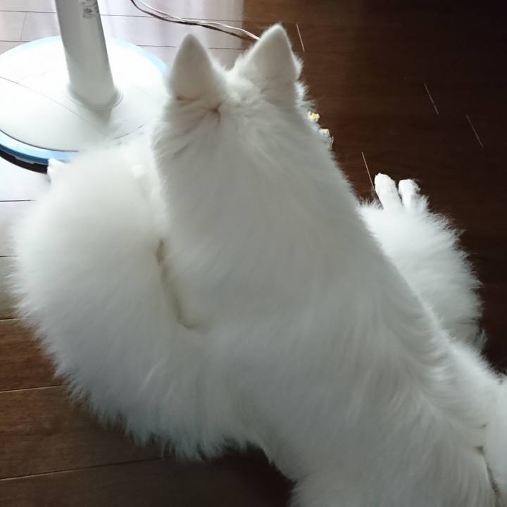 9ef2242a cc26 462a 8300 ed89f569cb3e 1562561886704