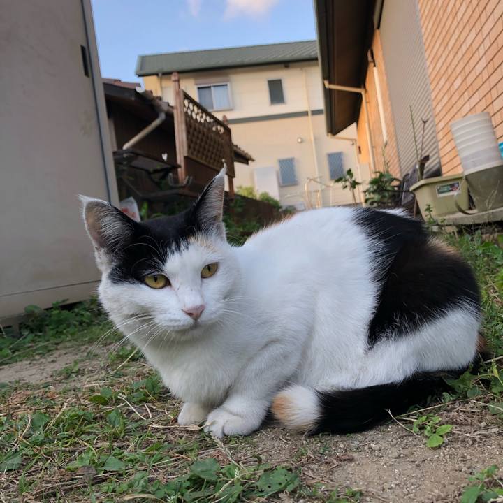 9ef2445f ec24 4803 b381 ffe2df5371a2 1602628311767