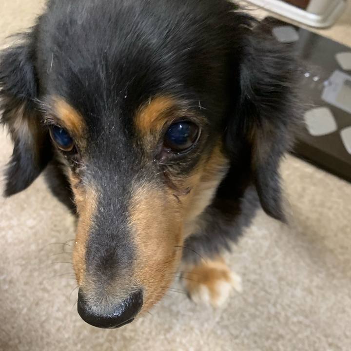 9ef26e21 2e1a 4ade 95e8 dfb6760257ed 1576618476839