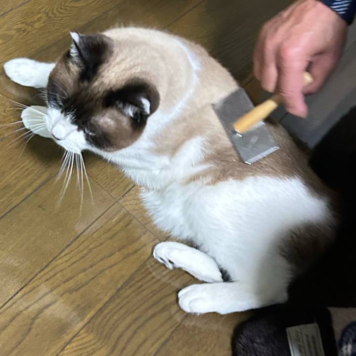 9ef28379 f4b3 4efe 8dc9 283c3b50f20a 1764461988793