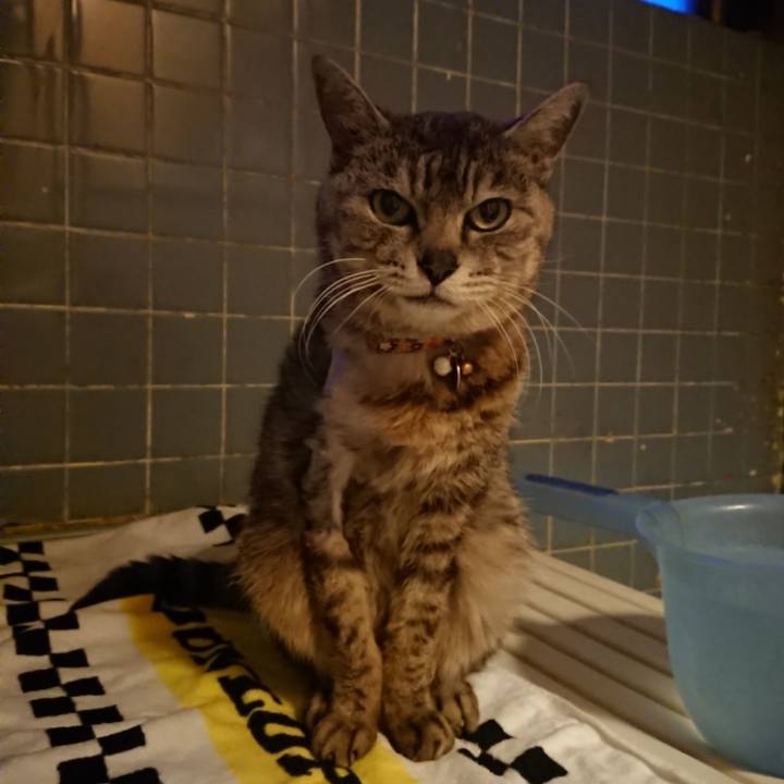 9ef2e265 828c 4d1d af74 91f2e282b776 1590661200051