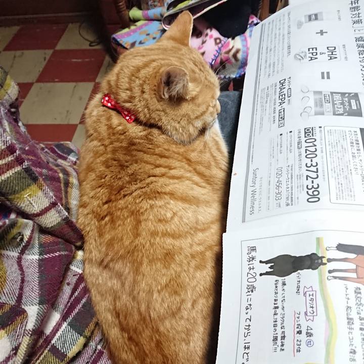 9ef3254b d19c 4c8b b84e d11cfedbf9cd 1576963603315