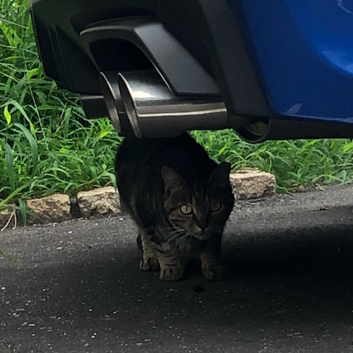 9ef35450 4d5a 4197 9a47 8ef5cffe109c 1564045653842