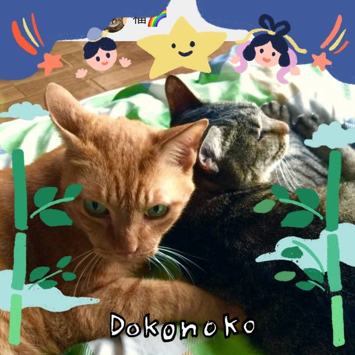 9ef398a6 47f6 417d 9816 8a855d2e4a0b 1720862547674