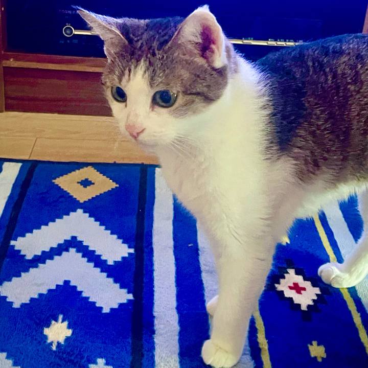 9ef3b913 7192 4dc2 91c4 4f233868d243 1627992126731