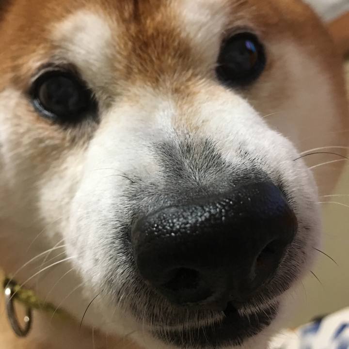 9ef3c87e ea46 4db6 bb67 683b8c54af20 1523097415782