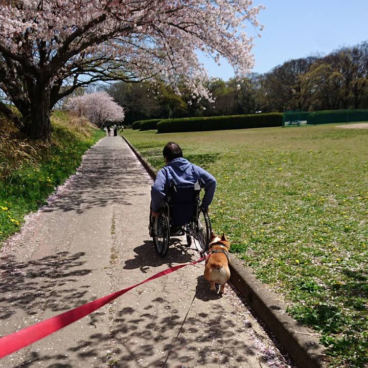 9ef3e1bf d763 463f 82d5 f3c88dfc0a0a 1649161567187