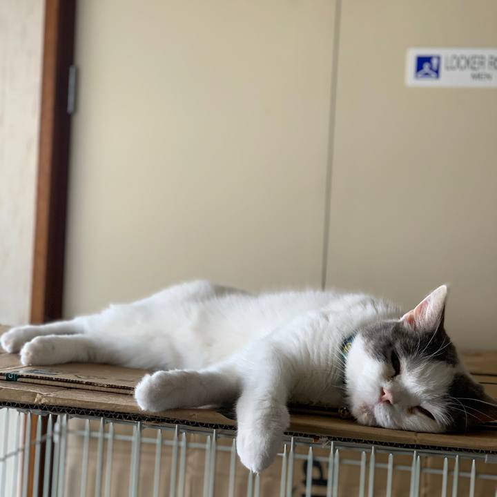 9ef400c4 21c1 4c4a bef2 f1bee6e09848 1685440262415