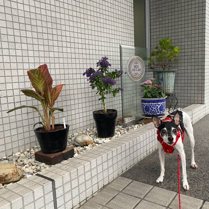 9ef40f2b fdf0 41bb 8e8d ce528ce6bd61 1627945312967