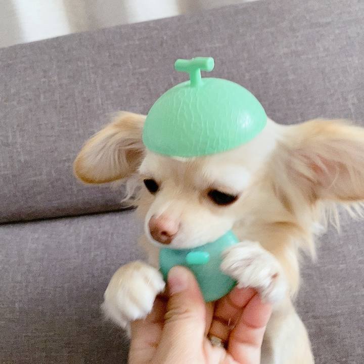 9ef42b20 208c 4777 83b3 3d292154a8be 1618387161394