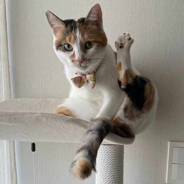 9ef43f04 3796 44ea ac54 8bf0ab940c29 1634772674862