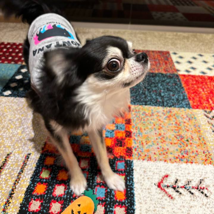 9ef461f4 81cd 43b3 a2e2 830319c9ee52 1729354134598