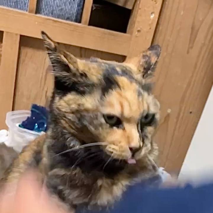 9ef46db6 5e89 494c 9a6f 47d382412dbe 1739819308463