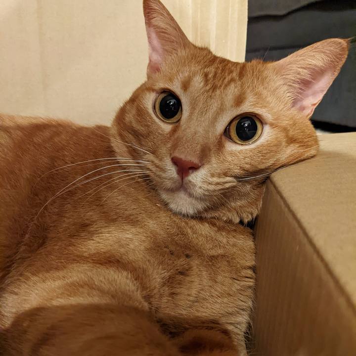 9ef46efe deec 49f1 93e7 f8f92b97aaf0 1660387664192