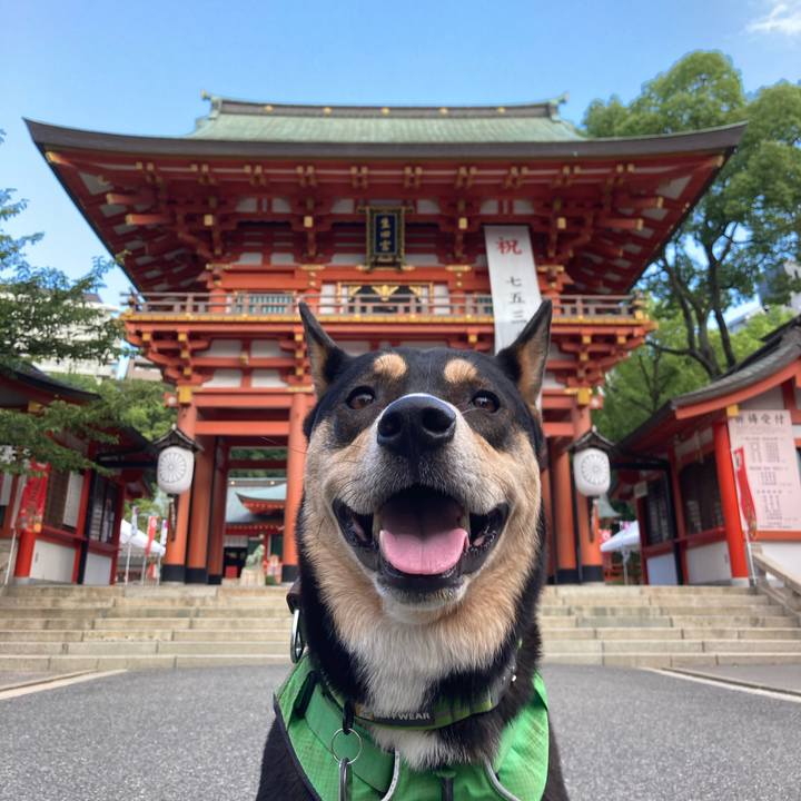 9ef48c7a 2dfd 4d15 a976 0737d6ab8f42 1600774254795