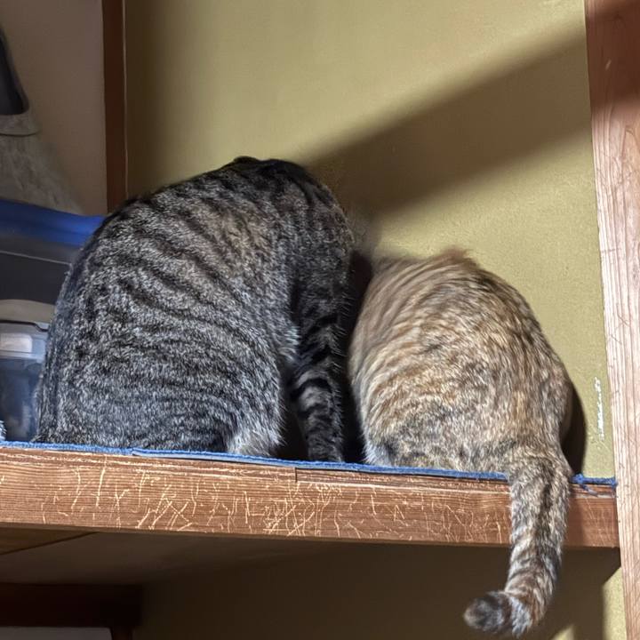 9ef4fd69 acae 4f65 adc8 d17556033a46 1764028568768