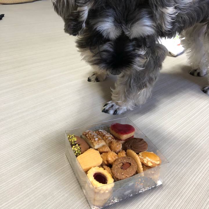 9ef5351e 93b7 4862 aee4 79054aaea405 1568434740556