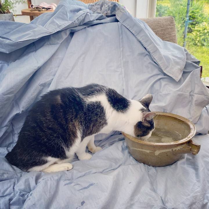 9ef53d1e 5300 4a2b 9e20 0f68e86d154b 1618900971513