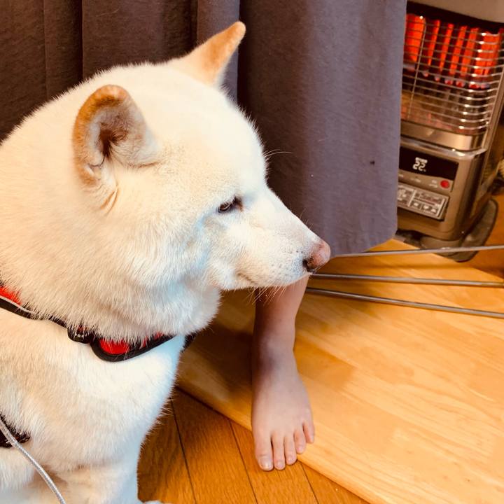 9ef58b28 e8d0 4d25 9330 5ace8b760f67 1610843070487