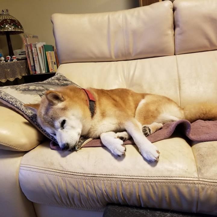 9ef5a6db 618f 492f a072 8d12e396886a 1760184035180