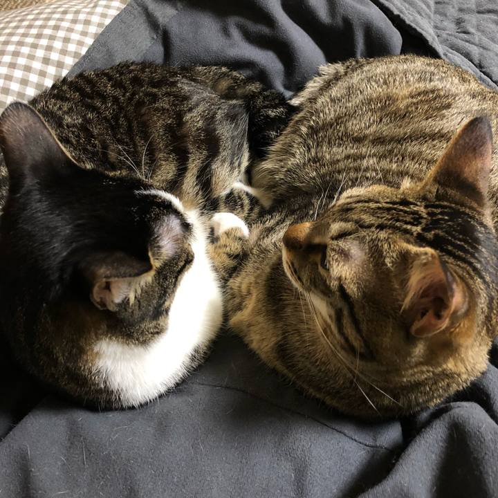 9ef6075b a587 478c a067 4a8ae637f505 1519531280490