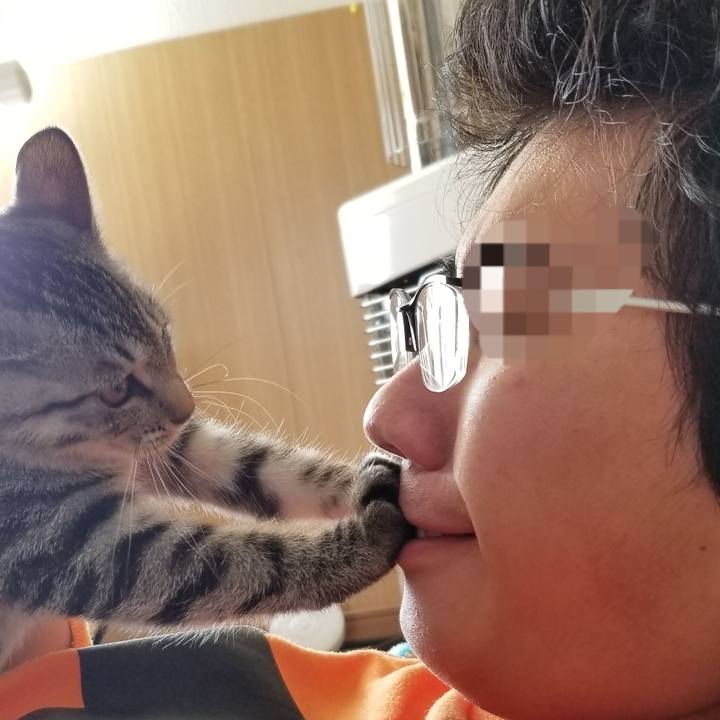 9ef60a8b 50b5 4d5c 8aed 0f9eb6efdb85 1667534637483