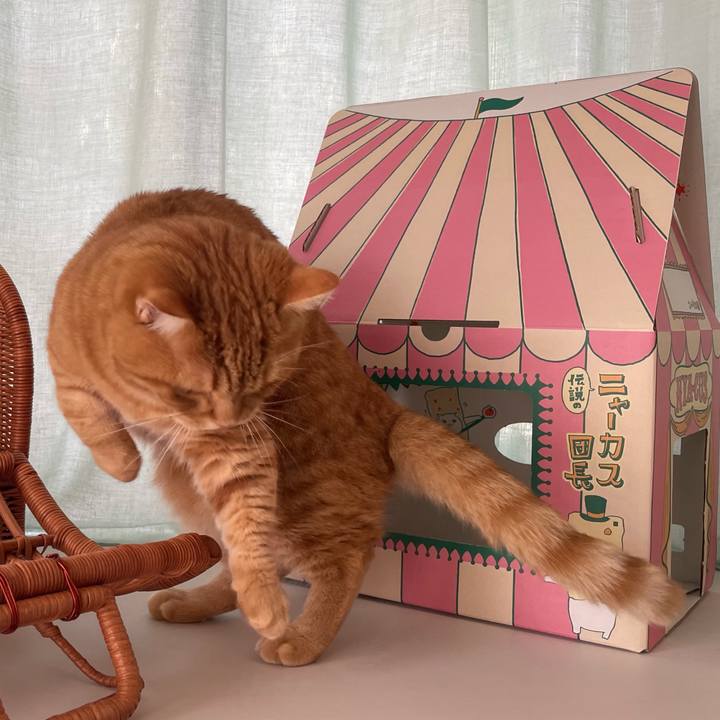 9ef65729 2660 480f 995e 7f6e87004c7a 1771134100925