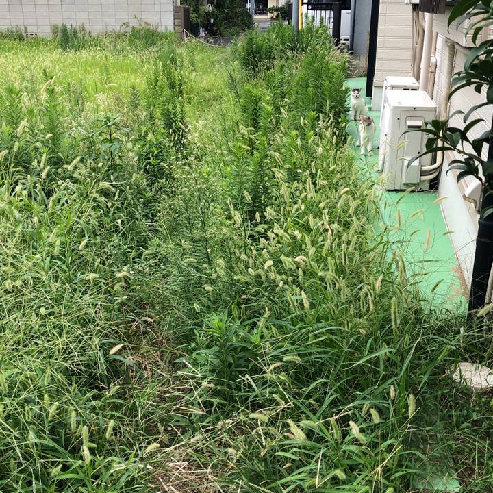 9ef684cc d673 46c0 a683 f8a0ba6db411 1536655559682