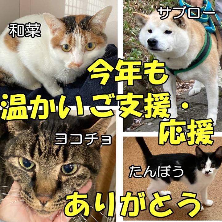 9ef6af1c d1c5 49c4 8b92 08c65c41d52f 1609379524549