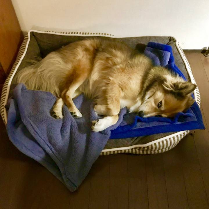 9ef6b57b 63da 4e82 a3ca 46e2bad05357 1512992820932