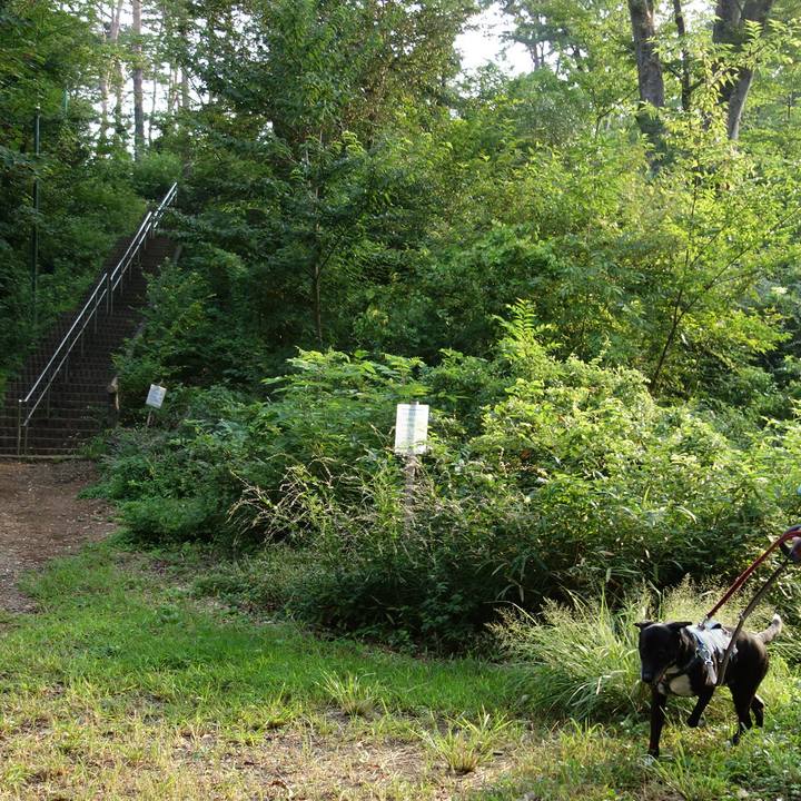 9ef72b41 7664 470d a771 ac0aa581b3d4 1725756049812